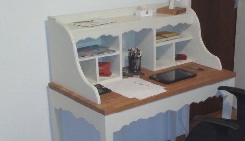 Northern Saw-Whet Owl